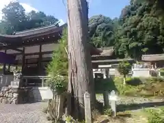 大野神社の建物その他