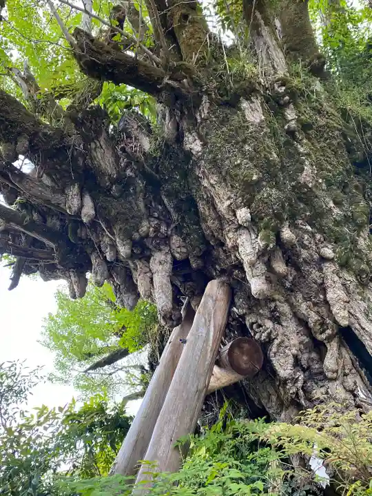 葛城一言主神社(奈良県)