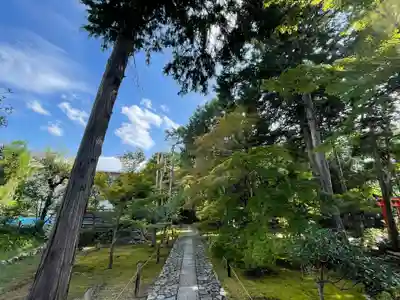 鹿王院の御朱印