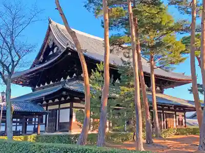相国寺(相国承天禅寺)の本殿・本堂