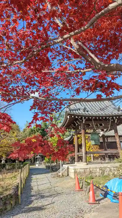 乙訓寺(京都府)