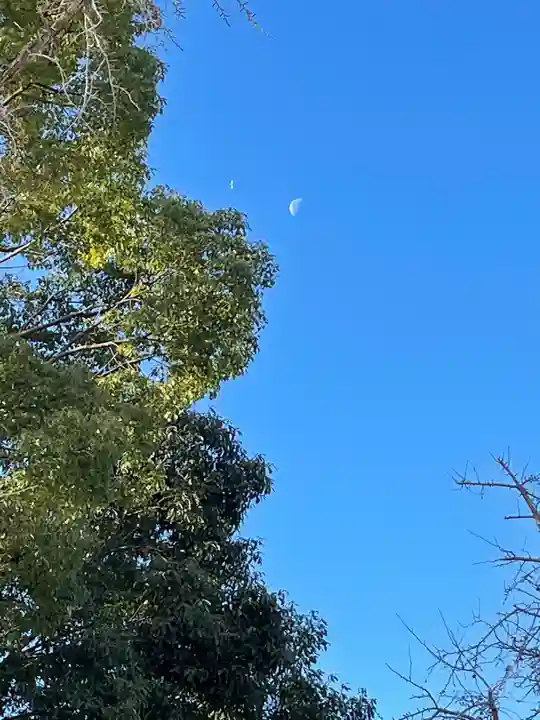成田山大阪別院 明王院の景色