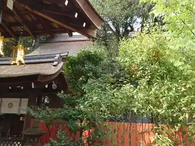 賀茂御祖神社(下鴨神社)の本殿・本堂