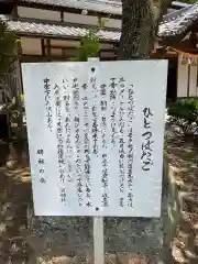 尾張冨士大宮浅間神社(愛知県)