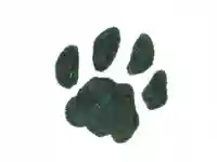 高司神社〜むすびの神の鎮まる社〜(福島県)