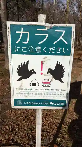 北海道神宮の動物