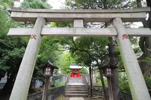 富岡八幡宮の鳥居