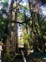 伊邪那岐神社の庭園