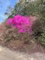 貴船神社の自然