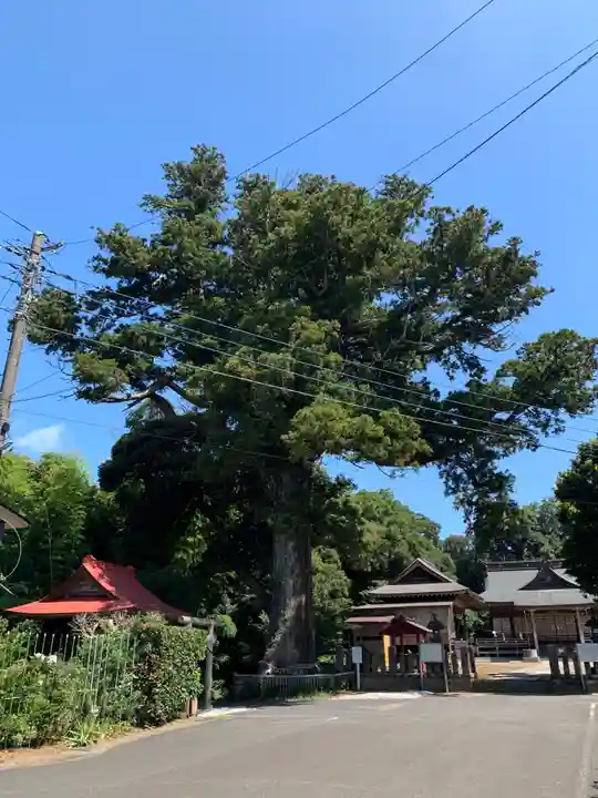 松澤 熊野神社(千葉県)