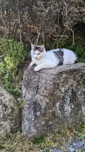 成田山新勝寺の動物
