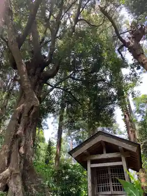 瀧口神社(千葉県)
