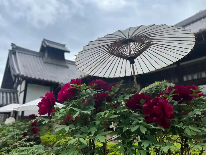 當麻寺西南院の自然