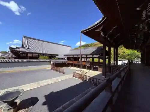 知恩院の{uncategorized: "未分類", other: "その他", undefined: "問題あり", building: "その他建物", grave: "お墓", sacred_gate: "鳥居", guardian: "狛犬", statue: "像", buddha: "仏像", history: "歴史", nature: "自然", garden: "庭園", animal: "動物", pagoda: "塔", temizu: "手水舎", mountain_gate: "山門・神門", sanctuary: "本殿・本堂", subordinate: "末社・摂社", art: "芸術", scenery: "景色", jizo: "地蔵", ema: "絵馬", goshuin: "御朱印", omikuji: "おみくじ", items: "授与品その他", amulet: "お守り", goshuincho: "御朱印帳", eats: "食事", festival: "お祭り", votive_dance: "神楽", shichigosan: "七五三参", wedding: "結婚式", experience: "体験その他", initially: "初詣", around: "周辺", anti_infection: "感染症対策"}