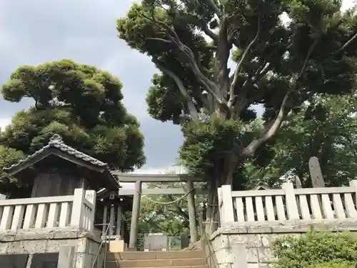 蘇羽鷹神社の建物その他