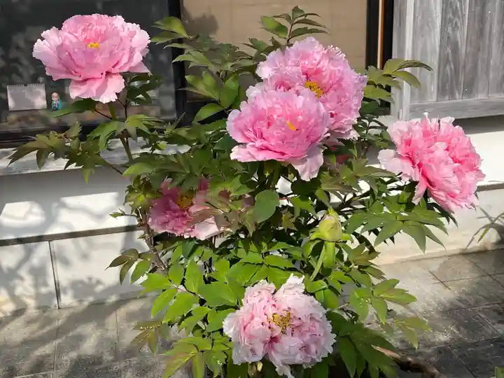 梅香寺(三重県)