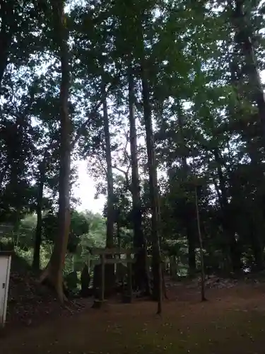 鳥見神社の鳥居