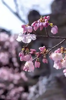 近江神宮(滋賀県)