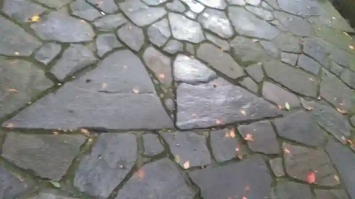 宇佐神宮の庭園