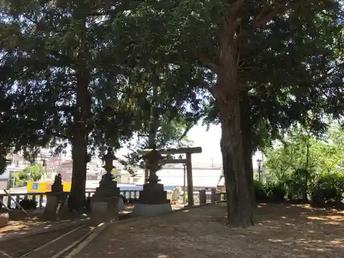 矢切神社の鳥居