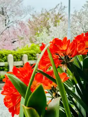 六孫王神社(京都府)