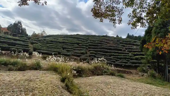 鶏足寺(滋賀県)