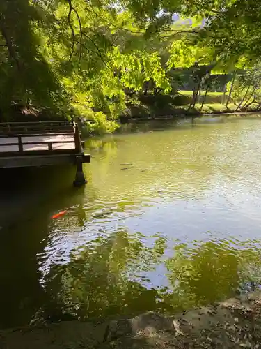 高鴨神社(奈良県)
