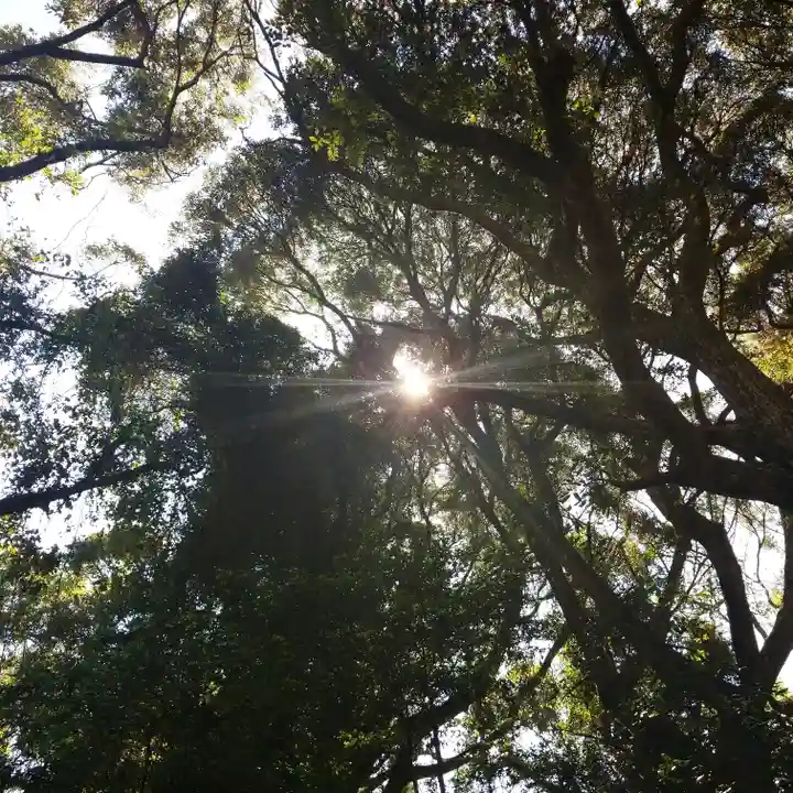 沼尾神社の自然