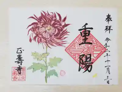 9月重陽の御朱印。古典菊の江戸菊が日々変化し芸を魅せる様が美しいです。こちらも金色の差し色が施されています。