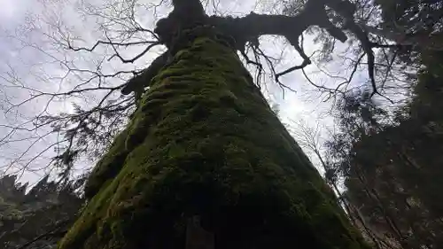 那岐神社(鳥取県)