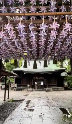 川越氷川神社(埼玉県)