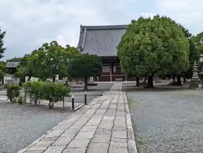妙覺寺（妙覚寺）(京都府)