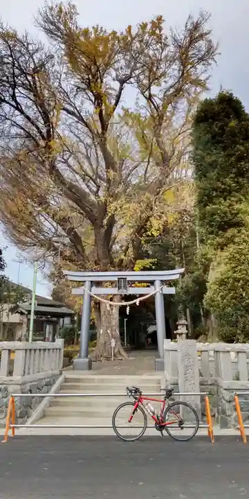 五社神社(神奈川県)