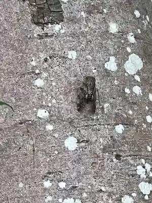 岩井八坂神社(茨城県)