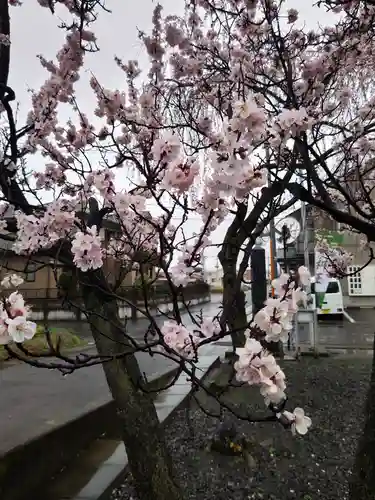 熊野福藏神社(福島県)