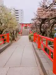 亀戸天神社の庭園