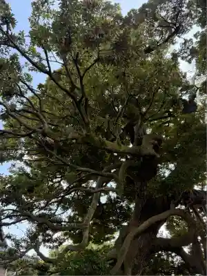 九重神社(埼玉県)