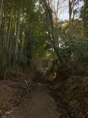 お堂（名称不明）の周辺