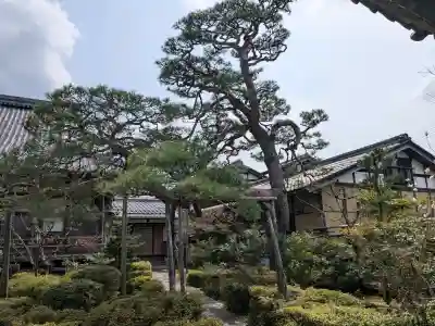 慶照寺の{uncategorized: "未分類", other: "その他", undefined: "問題あり", building: "その他建物", grave: "お墓", sacred_gate: "鳥居", guardian: "狛犬", statue: "像", buddha: "仏像", history: "歴史", nature: "自然", garden: "庭園", animal: "動物", pagoda: "塔", temizu: "手水舎", mountain_gate: "山門・神門", sanctuary: "本殿・本堂", subordinate: "末社・摂社", art: "芸術", scenery: "景色", jizo: "地蔵", ema: "絵馬", goshuin: "御朱印", omikuji: "おみくじ", items: "授与品その他", amulet: "お守り", goshuincho: "御朱印帳", eats: "食事", festival: "お祭り", votive_dance: "神楽", shichigosan: "七五三参", wedding: "結婚式", experience: "体験その他", initially: "初詣", around: "周辺", anti_infection: "感染症対策"}