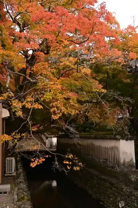丈六寺(徳島県)