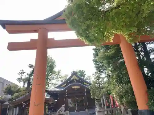 日枝神社(東京都)
