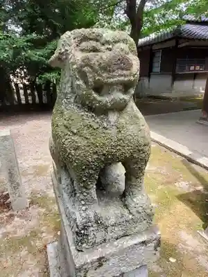 日吉神社の狛犬