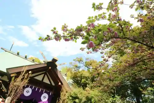 東京大神宮の自然