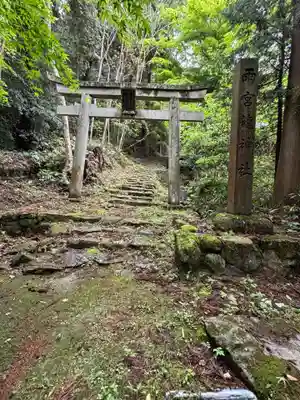 雨宮龍神社(滋賀県)