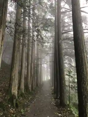 三峯神社の周辺