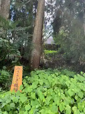 みささぎ権現(愛媛県)