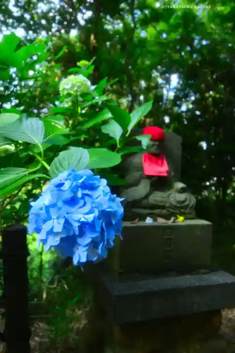 高幡不動尊 金剛寺(東京都)