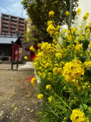 生麦神明社の{uncategorized: "未分類", other: "その他", undefined: "問題あり", building: "その他建物", grave: "お墓", sacred_gate: "鳥居", guardian: "狛犬", statue: "像", buddha: "仏像", history: "歴史", nature: "自然", garden: "庭園", animal: "動物", pagoda: "塔", temizu: "手水舎", mountain_gate: "山門・神門", sanctuary: "本殿・本堂", subordinate: "末社・摂社", art: "芸術", scenery: "景色", jizo: "地蔵", ema: "絵馬", goshuin: "御朱印", omikuji: "おみくじ", items: "授与品その他", amulet: "お守り", goshuincho: "御朱印帳", eats: "食事", festival: "お祭り", votive_dance: "神楽", shichigosan: "七五三参", wedding: "結婚式", experience: "体験その他", initially: "初詣", around: "周辺", anti_infection: "感染症対策"}