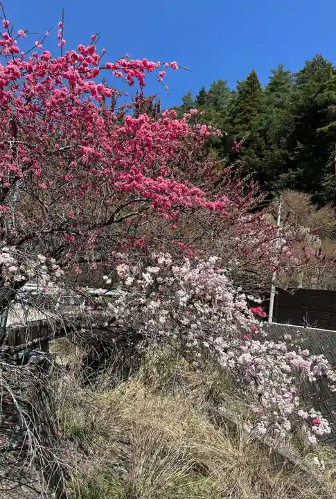 国福大神社(山梨県)