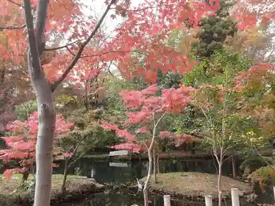 深大寺(東京都)